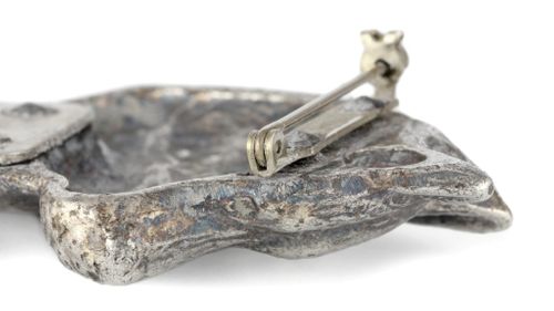 Husky Syberyjski - klips - 2535 na Arena.pl