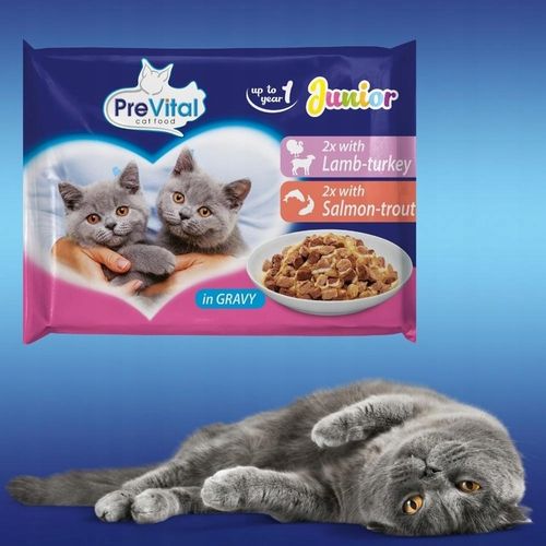 KARMA MOKRA DLA KOTA PREVITAL JUNIOR 52 X 100G SASZETKI DLA KOCIĄT MIX na Arena.pl