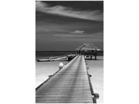 product-compare-58703217