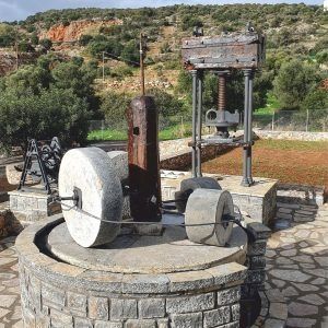 Physis of Crete super Grecka oliwa z oliwek 0,2% - 5 L data aż do 03/27 na Arena.pl