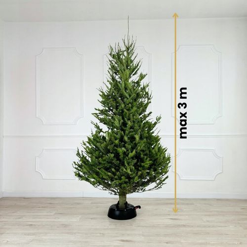 STOJAK POD CHOINKĘ CHOINKOWY STABILNA PODSTAWKA DO ŻYWEJ CHOINKI DO 3 M na Arena.pl