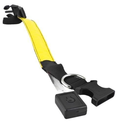 Obroża LED żółta - M na Arena.pl