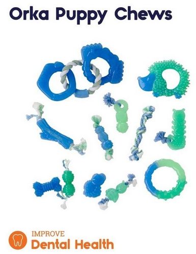 Petstages Grow With Me Ring PS68028 na Arena.pl
