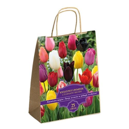 Zestaw Prestige Tulipany polskie triumph mix 25 szt. IDEALNY NA na Arena.pl