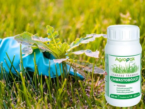 STARANE TRAWNIKI środek oprysk na chwasty w trawie trawniku 200ml NA 666m2 na Arena.pl