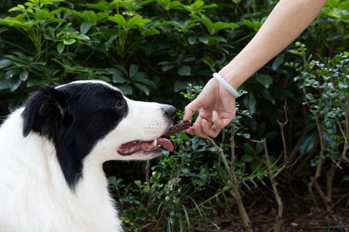 Kiełbaski z wołowiny - Przysmaki dla psa 500g SNAPPY na Arena.pl