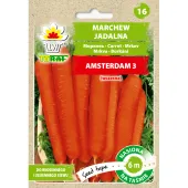 Marchew AMSTERDAM 3 (taśma 6m)
