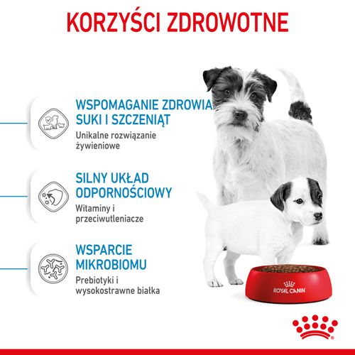 royal canin mini starter 1kg na Arena.pl
