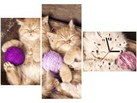 product-compare-58611504