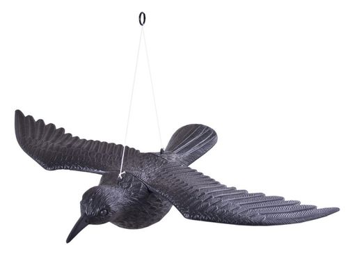 KRUK LATAJĄCY ODSTRASZACZ W LOCIE NA BALKON TARAS GOŁĘBI PTAKÓW na Arena.pl