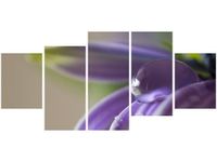 70CM 150CM OBRAZ 5 ELEM RAJ GEMMA STILES ŚCIENNY