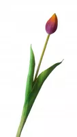 TULIPANY SILIKONOWE jak ŻYWE 40 cm TULIPAN FIOLET