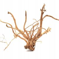 Korzeń Japoński Red Moor do Akwarium Terrarium Naturalna Dekoracja 40-50cm