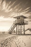 Plakat 56,6x86,4cm Strażnik Wydm