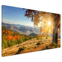 product-compare-61603384