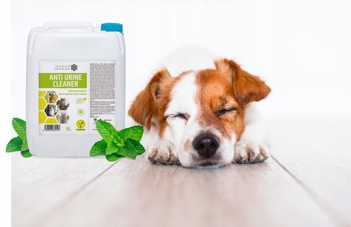 NEUTRALIZATOR POCHŁANIACZ ZAPACHÓW MOCZU PSA 1L ISOKOR ANTI URINE NATURALNY na Arena.pl