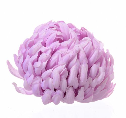 Chryzantema wyrobowa pearl violet na Arena.pl