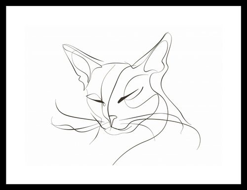 Plakat 35x25cm Linijny Kot na Arena.pl