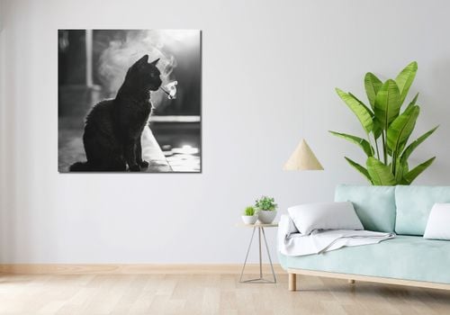 Obraz 100x100cm Kocia Przerwa na Arena.pl