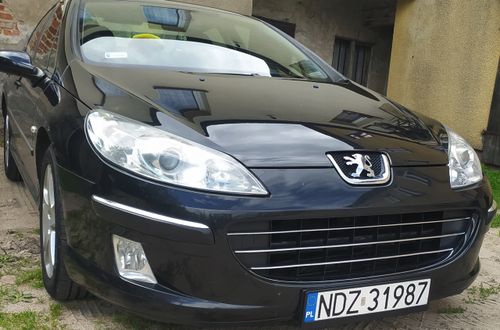 Peugeot 407 - Listwy CHROM na GRILL atrapa 3 szt Tuning Chromowane na Arena.pl