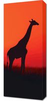 Obraz 30x70cm Żyrafa w Czerni