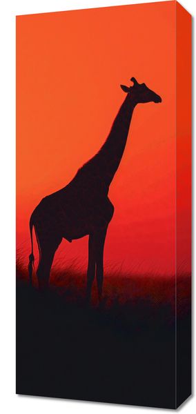 Obraz 30x70cm Żyrafa w Czerni zdjęcie 1