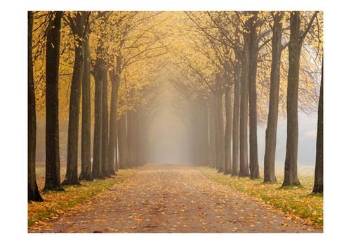 Fototapeta - Journey to the unknown 200x154 na Arena.pl