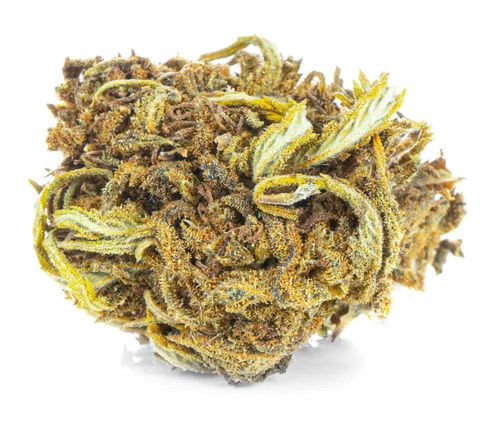 CBD SUSZ KONOPNY | AK 47 | PREMIUM 2g na Arena.pl