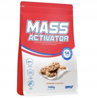 SFD MASS ACTIVATOR 1000g GAINER WHEY BIAŁKO MASA MIĘŚNIE REGENERACJA