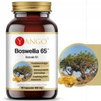 Yango BOSWELLIA 65 CHOLESTEROL STAWY PAMIĘĆ PRZEWÓD POKARMOWY 60kaps. 460mg