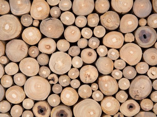 Drewniana dekoracja ścienna TWIG na Arena.pl