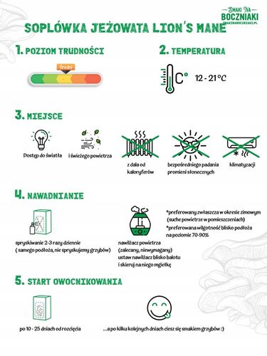 Zestaw do uprawy grzybów SNB soplówka jeżowata na Arena.pl