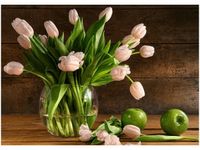 50X70CM PUDROWY TULIPAN OBRAZ POKOJU DREWNINE