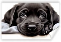 Fototapeta PREMIUM STRUKTURA ZMYWALANA szczeniak drzemiący na poduszce