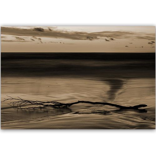 Deco Panel, Gałąź na wodzie 1 60x40 na Arena.pl