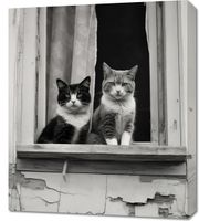 Obraz 60x70cm Para w Oknie