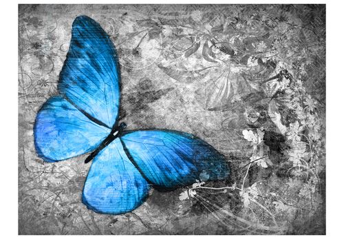 Fototapeta - Blue butterfly 200x154 na Arena.pl