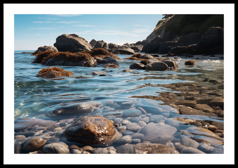 Plakat 60x40cm Harmonia Przybrzeżna zdjęcie 3