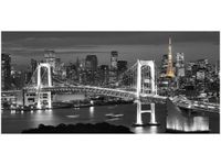 OBRAZ RAINBOW BRIDGE WANGAN