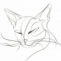 Plakat 50x50cm Linijny Kot