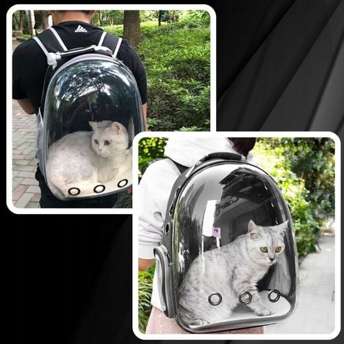 PLECAK DLA KOTA PSA TRANSPORTER PRZEZROCZYSTY WENTYLOWANY NA PSA NA KOTA na Arena.pl
