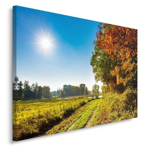 Obraz na płótnie - Canvas, Polna droga 100x70 na Arena.pl