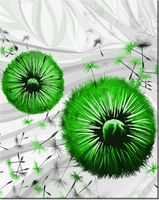 40CM 50CM OBRAZEK ŚCIENNY ZIELONE DMUCHAWCE 2 DRUK PŁÓTNO OBRAZ