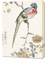 Obraz 50x70cm Macaw, Kashu Japoński Vintage do Salonu