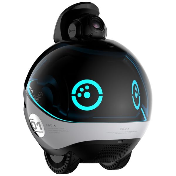 inteligentny robot towarzyszący enabot   ebo x zdjęcie 3