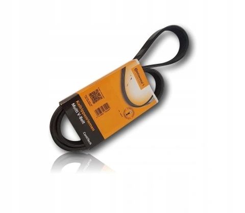 PASEK WIELOROWKOWY zdjęcie 14