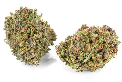 Susz konopny CBD Czarna Pantera SUPER AMSTERDAM 1g na Arena.pl