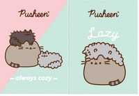 zeszyt a4/32k krata laminowany pusheen 5249 a'15