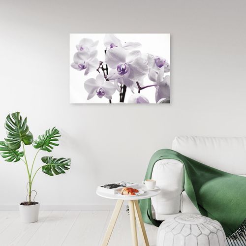 Deco Panel, Biało fioletowe orchidee 120x80 na Arena.pl