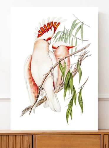 Plakat papugi vintage 30x40 cm na Arena.pl